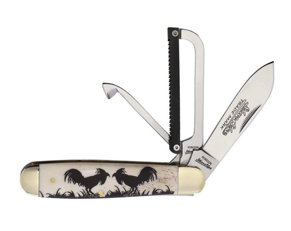 Robeson Gamecock Folder