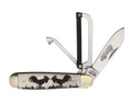 Robeson Gamecock Folder