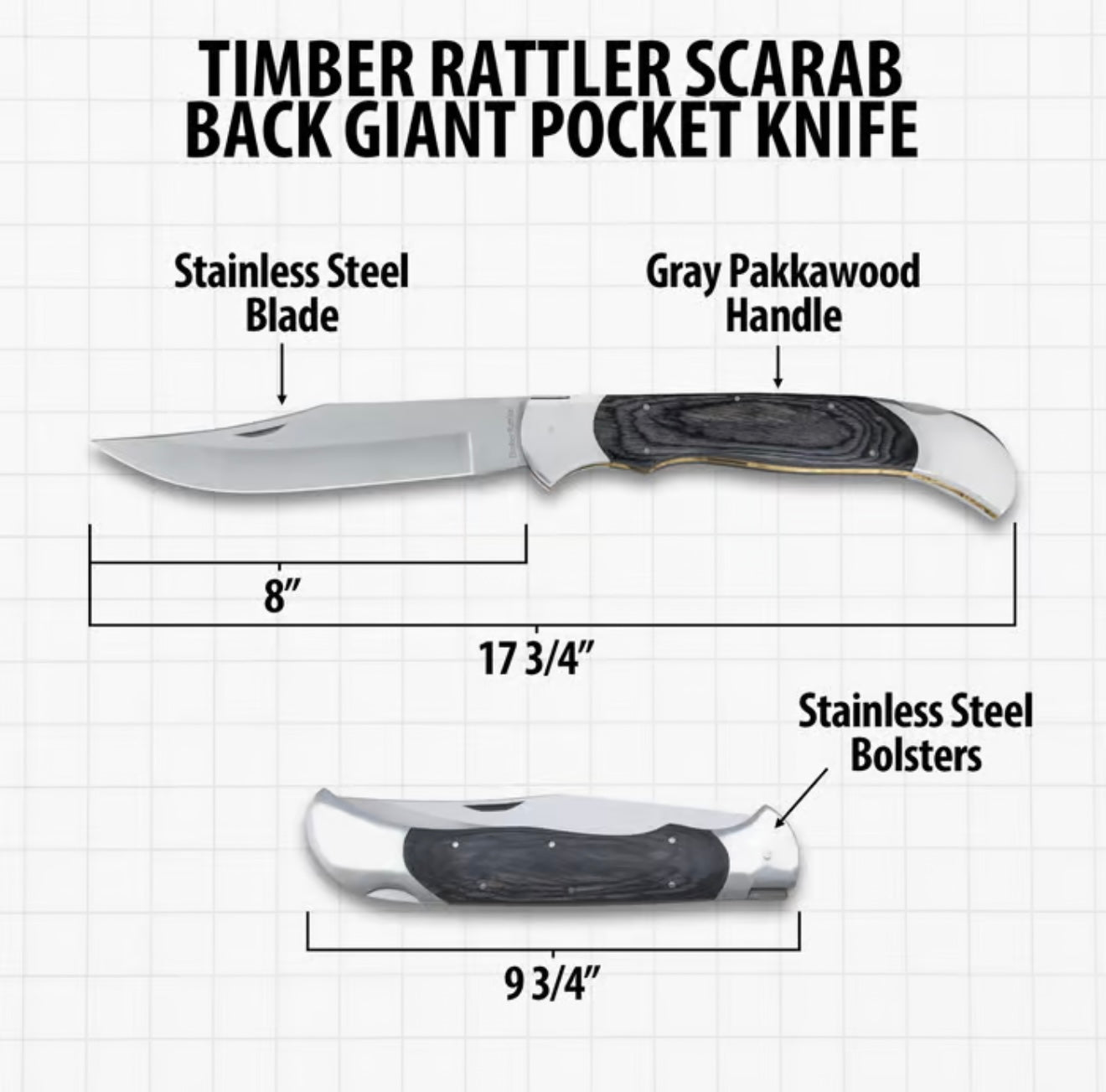 Timber Rattler Scarab Lockback