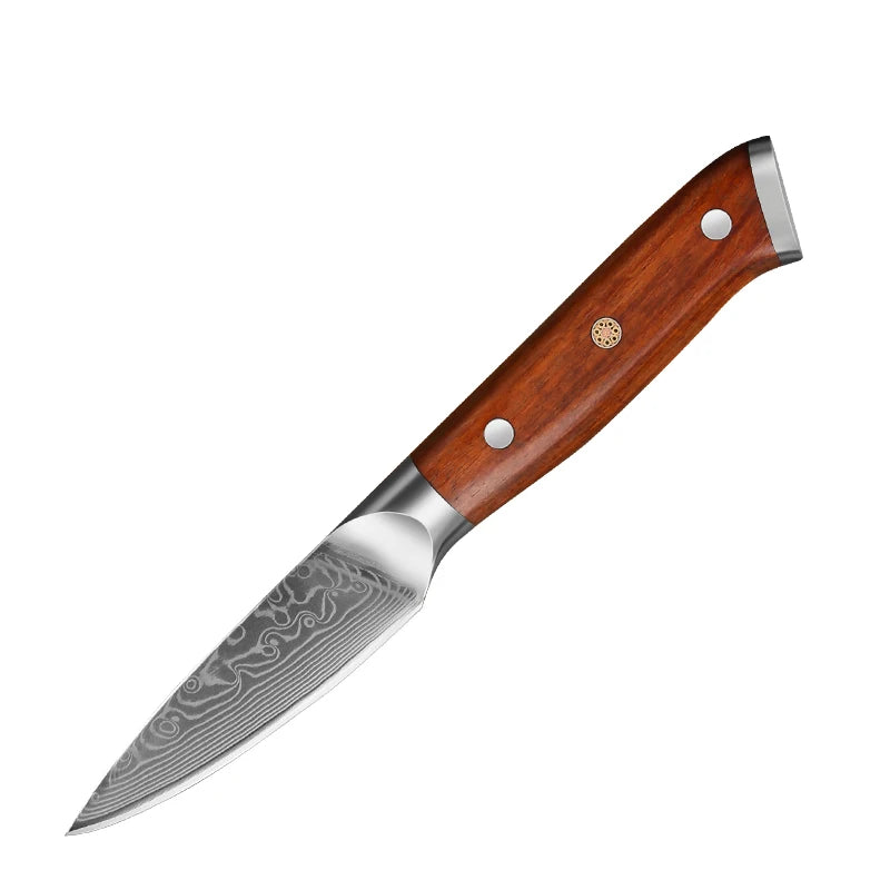Kitchen Chef Knife Set 67 Layer Damascus Stee Super Sharp Cleaver Knife Premium Kitchen fruit Knife Kitchen Cooking Tools