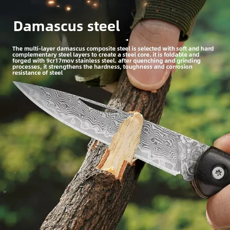 Pocket Folding Knife Damascus VG10 Steel Wooden Handle No Lock Portable Travel Camping Cutting Outdoor Tool Holiday Gift