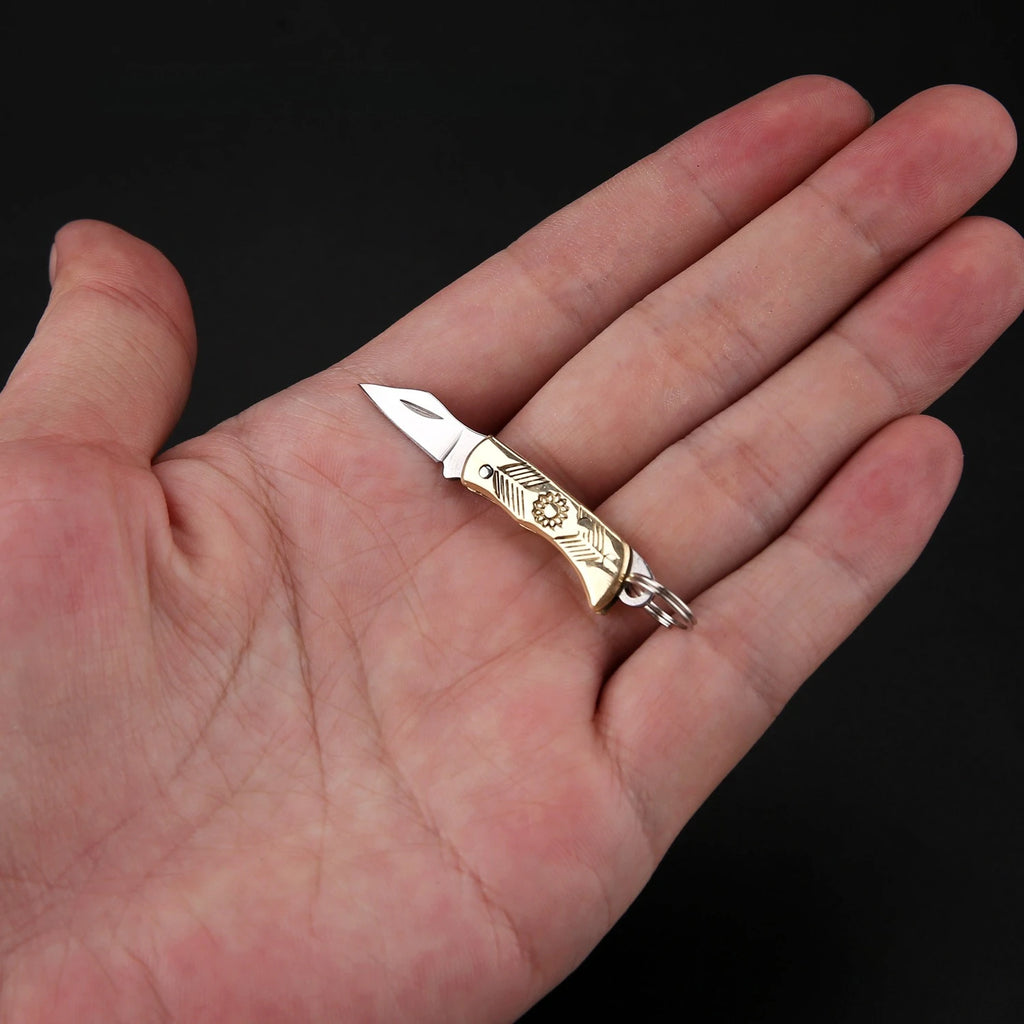 Tiny compact folding pocket knife with stainless steel blade, keychain attachment, lightweight and durable